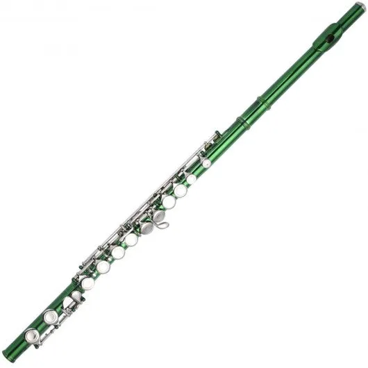 16 Hole C Flute for Student Beginner School Band 8 Colors w/ Case New-Green