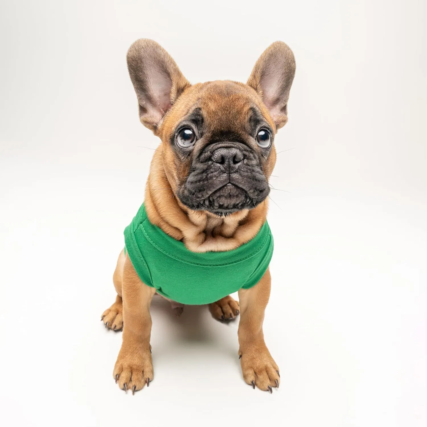 Happy Birthday Dad Dog Tee Shirt | Sleeveless | Pawty | Party Theme | Celebration Supplies | Photoshoot (Green, Medium 171)