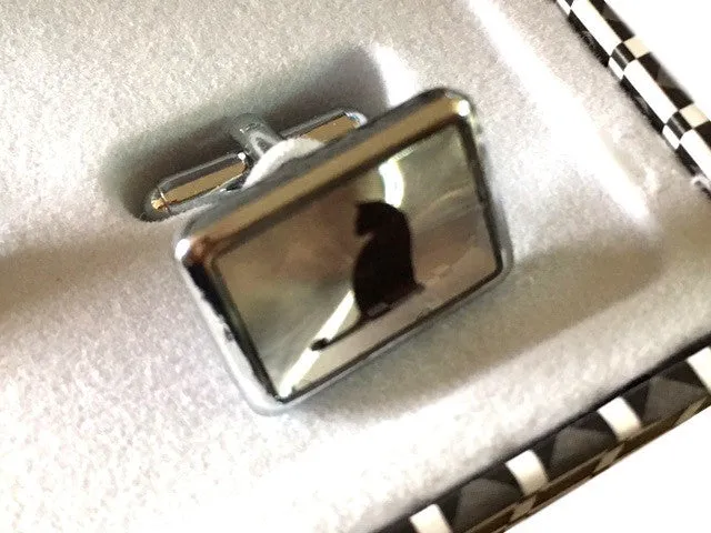 Mirror Finish Cat Cufflinks and Blue Colourful Novelty Cat Bow Tie Gift Set for Him