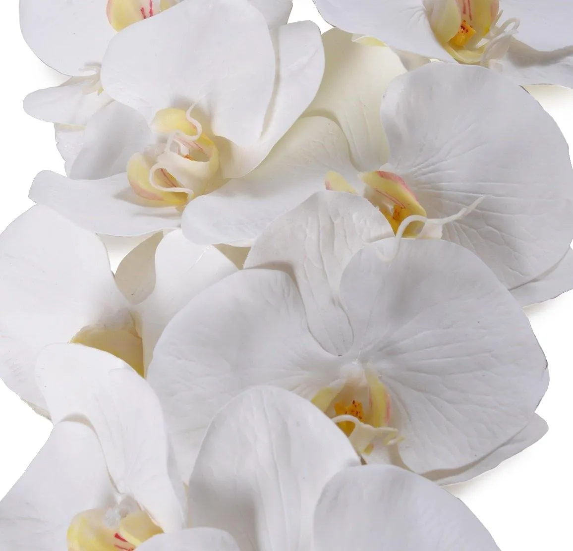 Phalaenopsis Orchid x 12 Stem 44"L